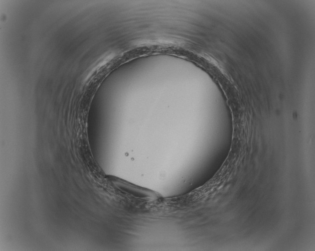 X0000065250967200603031759