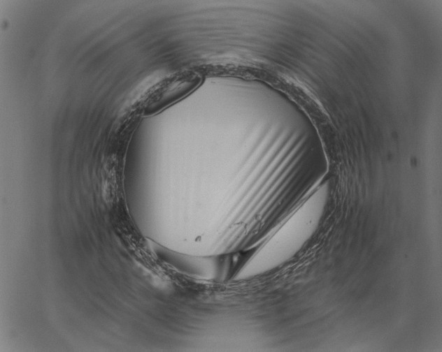 X0000065250968200603031759