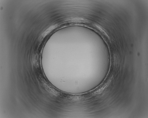 X0000065250970200603031759