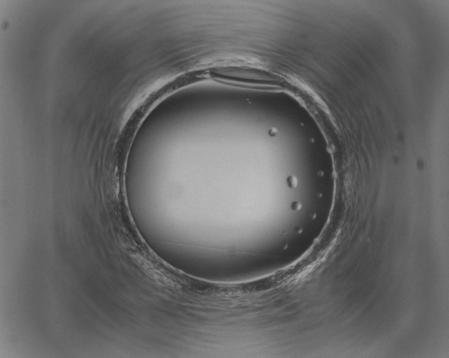 X0000065250973200603031759