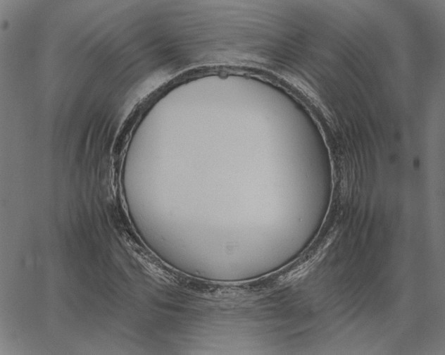 X0000065250974200603031759