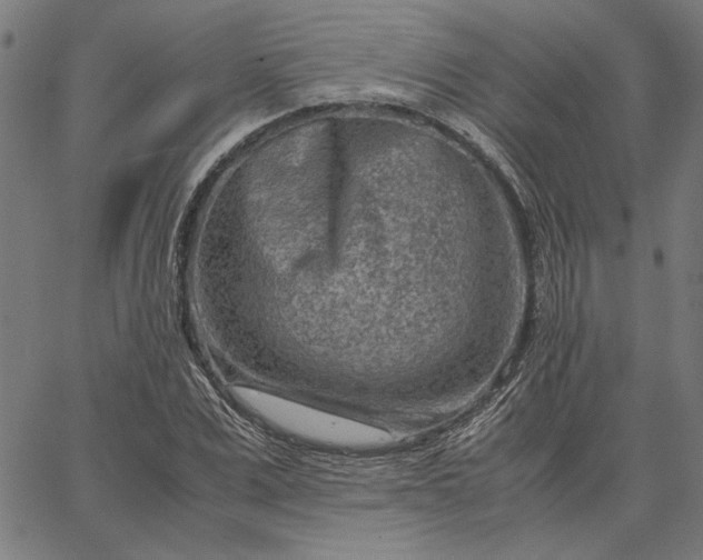 X0000065250975200603031759