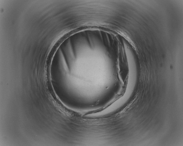 X0000065250976200603031759