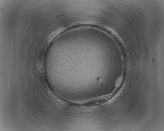 X0000065250977200603031759