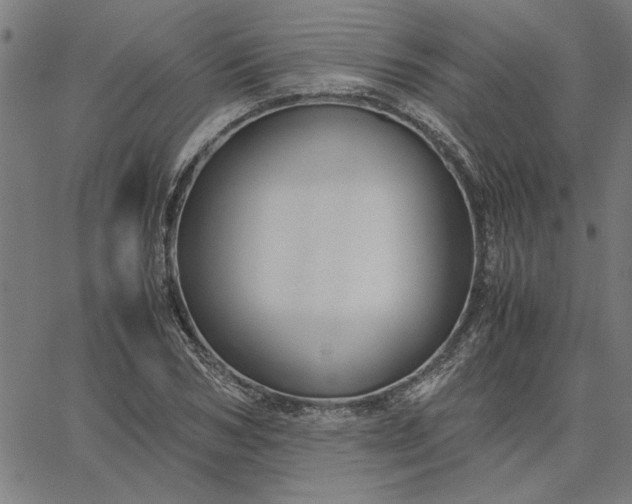 X0000065250978200603031759