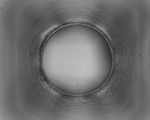 X0000065250979200603031759