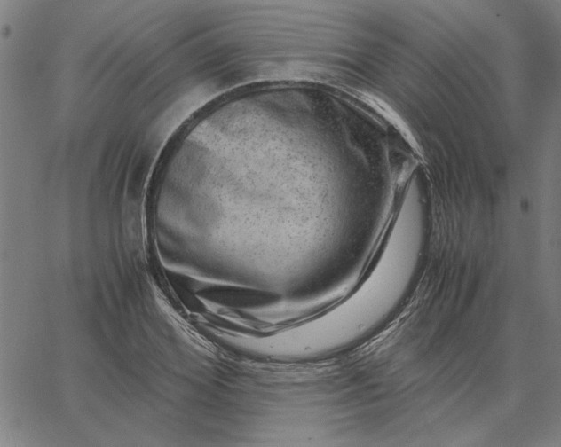 X0000065250980200603031759