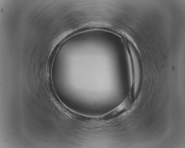 X0000065250981200603031759