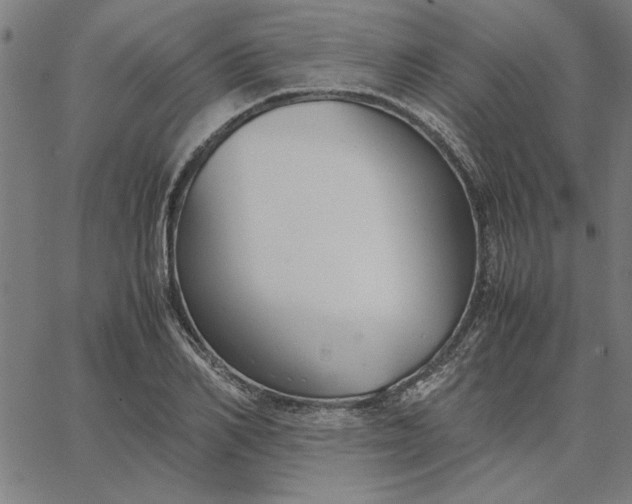 X0000065250982200603031759