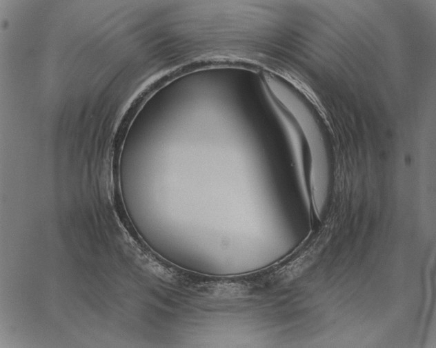 X0000065250984200603031759