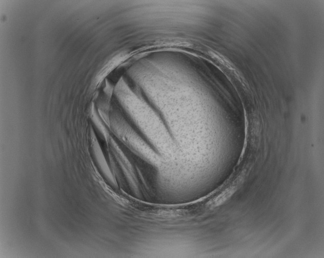 X0000065250985200603031759