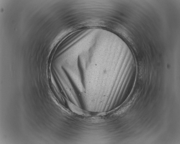 X0000065250986200603031759