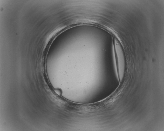 X0000065250987200603031759