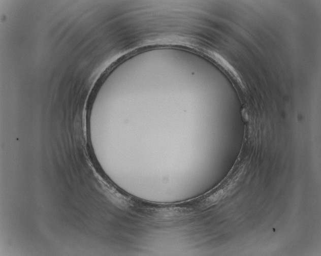 X0000065250988200603031759