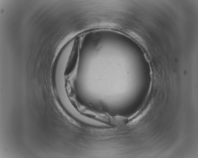 X0000065250989200603031759