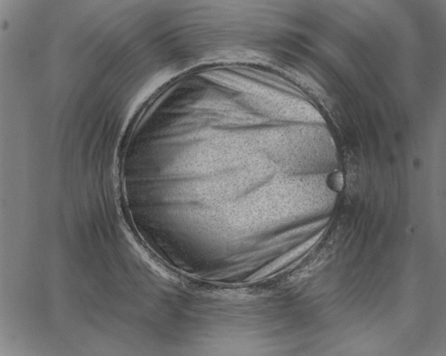 X0000065250990200603031759