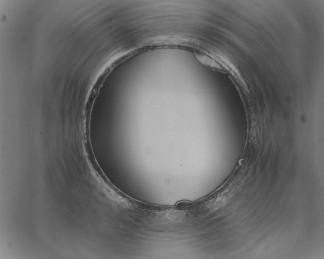 X0000065250992200603031759