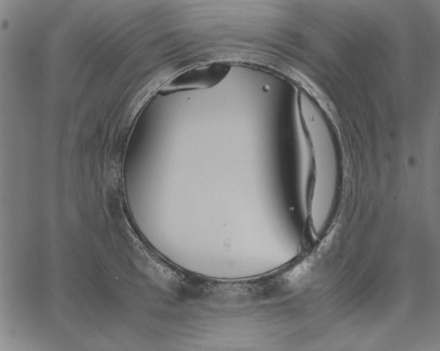 X0000065250993200603031759