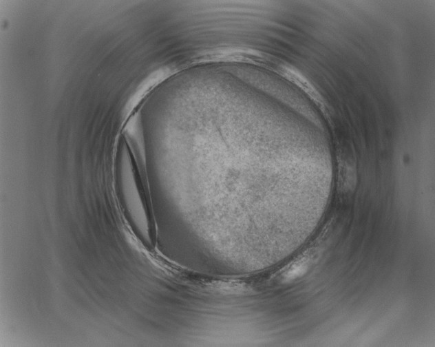 X0000065250994200603031759