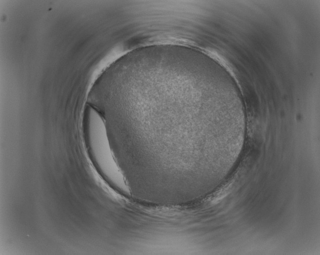 X0000065250995200603031759