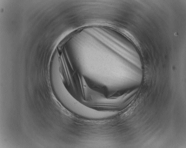 X0000065250996200603031759