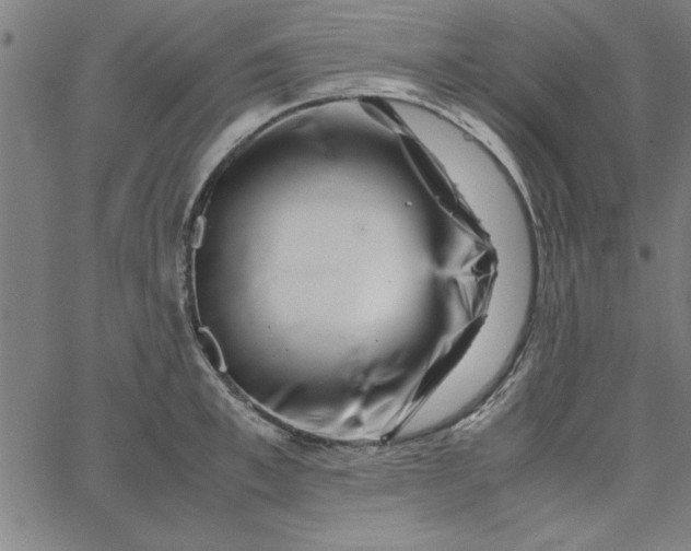 X0000065250997200603031759