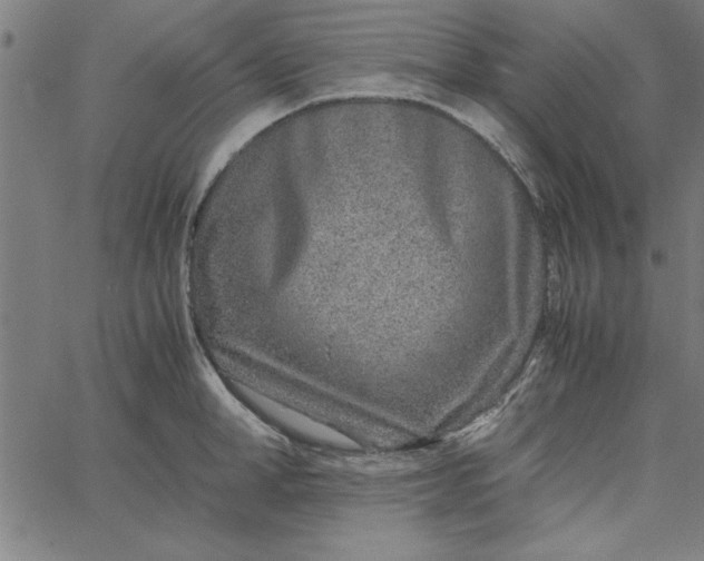 X0000065250998200603031759