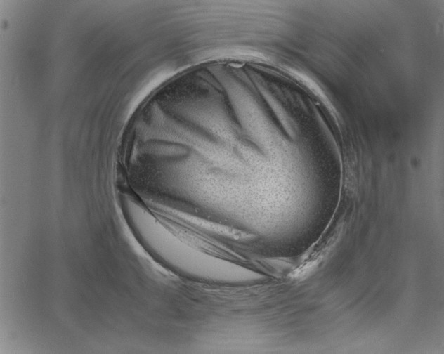 X0000065250999200603031759