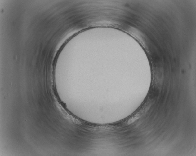 X0000065251000200603031759