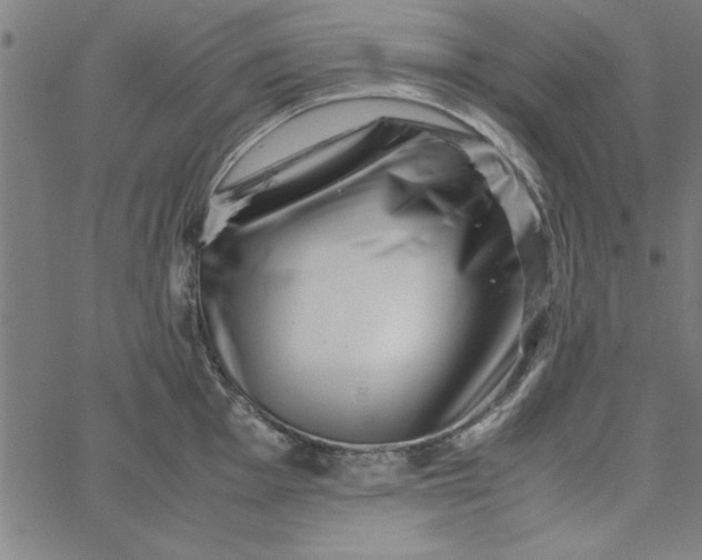 X0000065251001200603031759