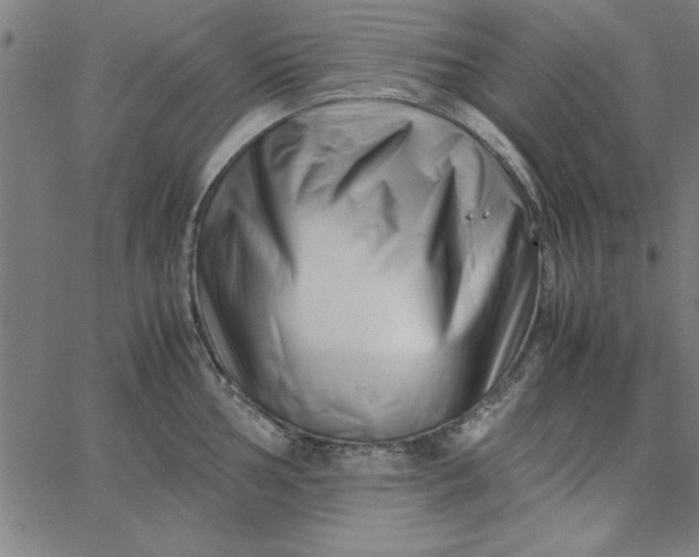 X0000065251002200603031759