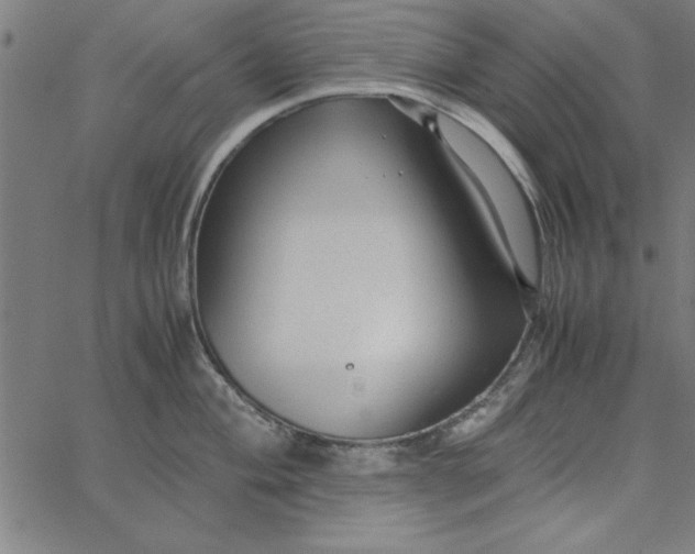 X0000065251004200603031759