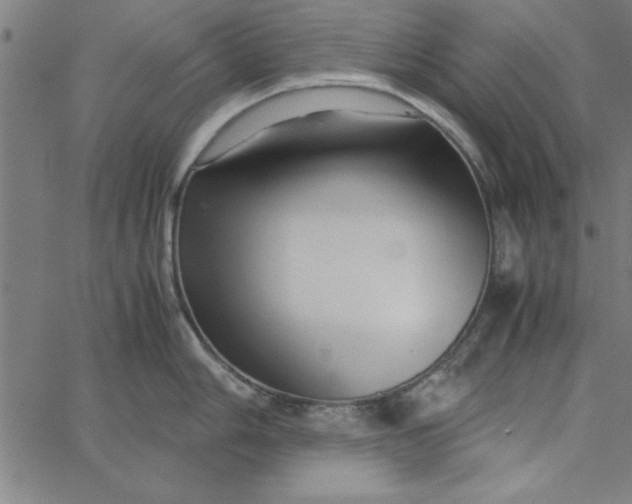 X0000065251006200603031759