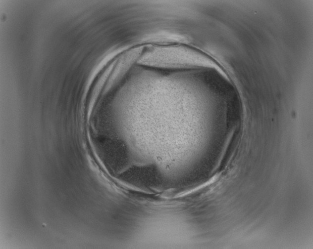 X0000065251008200603031759