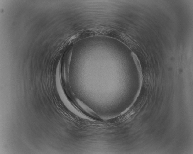 X0000065251010200603031758