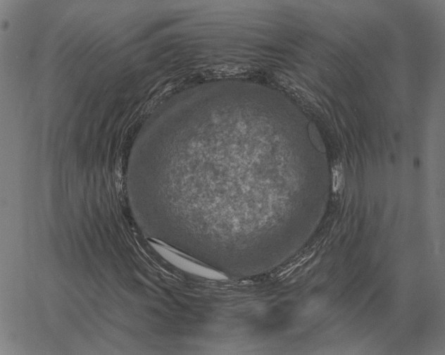 X0000065251011200603031758