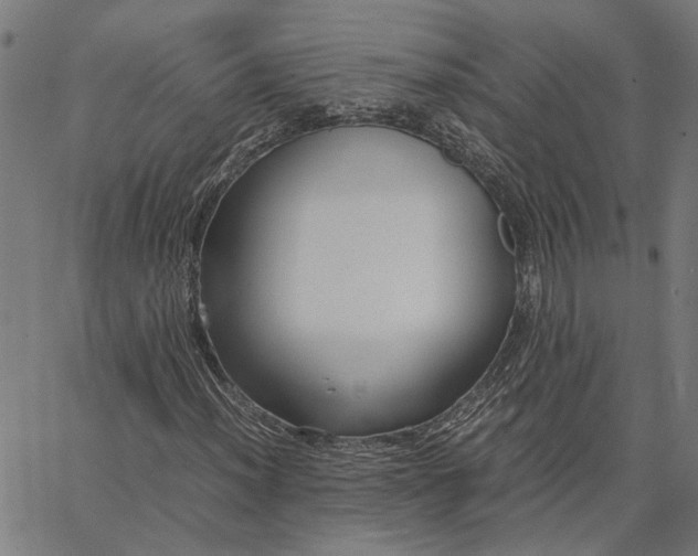 X0000065251012200603031758