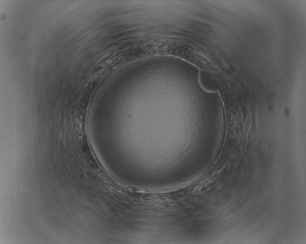 X0000065251013200603031758