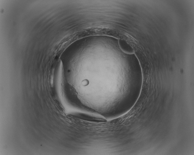 X0000065251014200603031758