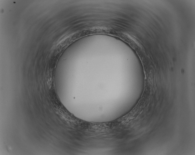 X0000065251015200603031758