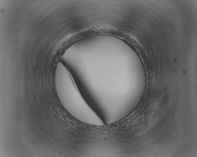 X0000065251016200603031758