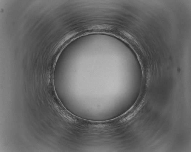 X0000065251017200603031758