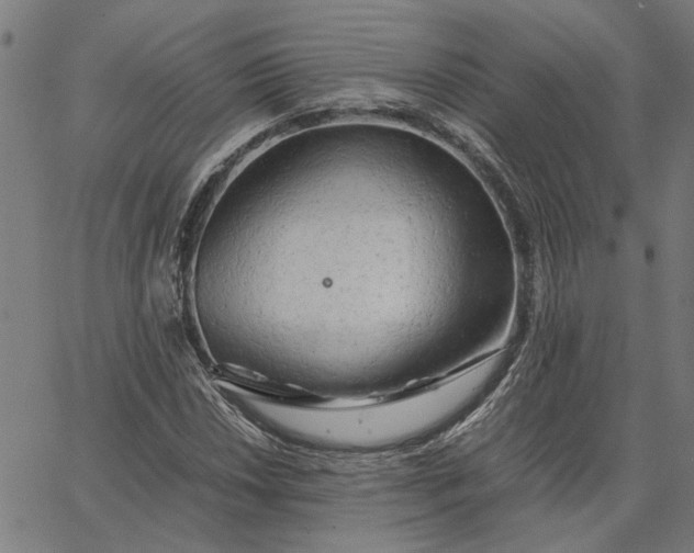 X0000065251018200603031758