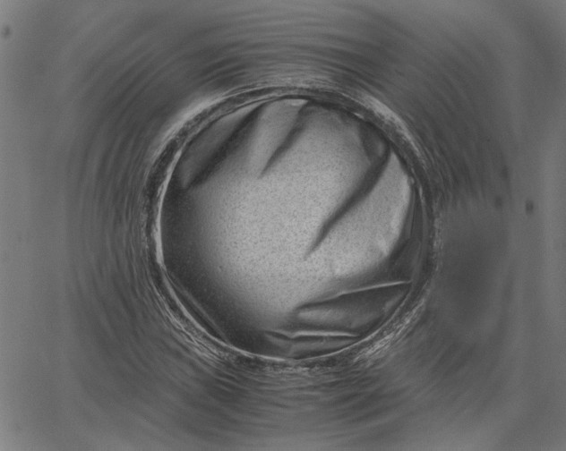 X0000065251019200603031758