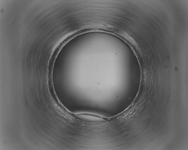 X0000065251020200603031758