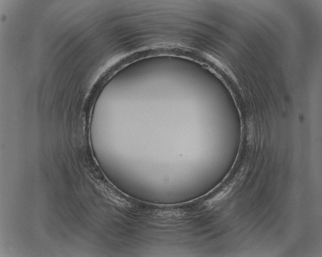 X0000065251021200603031758