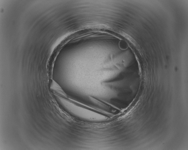 X0000065251022200603031758