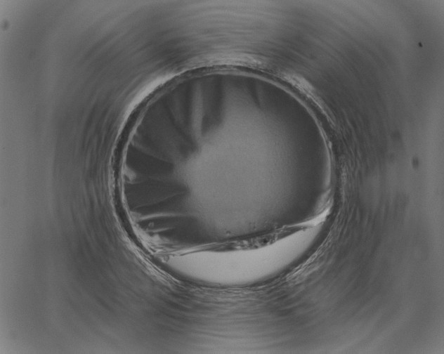 X0000065251024200603031758