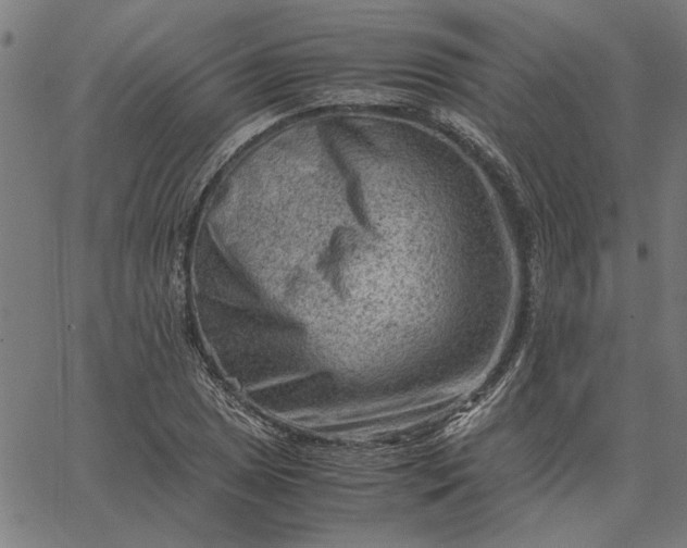 X0000065251025200603031758