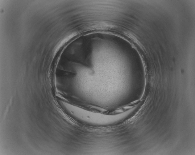 X0000065251026200603031758